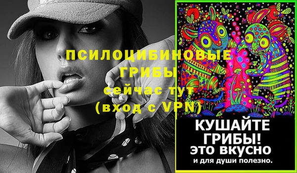 индика Медногорск