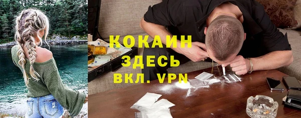 сатива Бердск