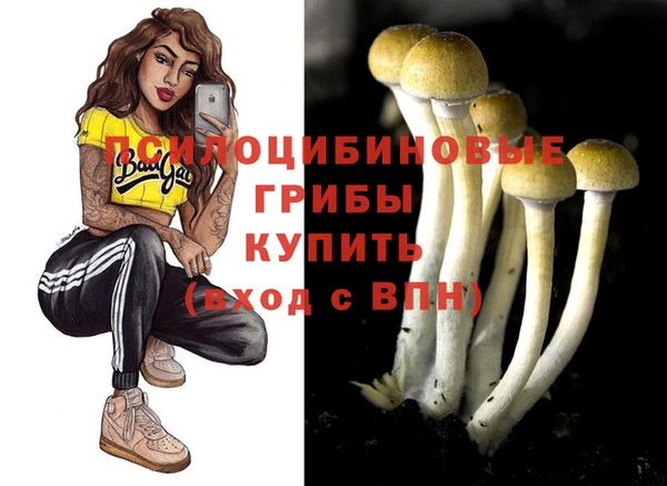 mdpv Михайловка