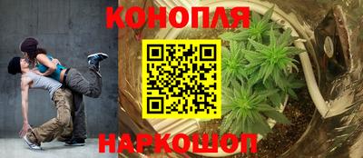 молекула духа Волжский