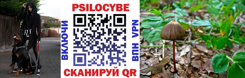 Псилоцибиновые грибы Magic Shrooms  Еманжелинск 