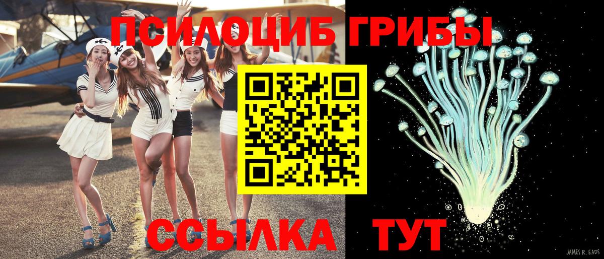 Галлюциногенные грибы Psilocybe  Еманжелинск  Псилоцибиновые грибы Psilocybe 