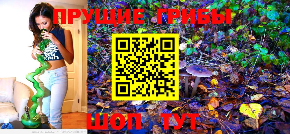 Псилоцибиновые грибы GOLDEN TEACHER Еманжелинск